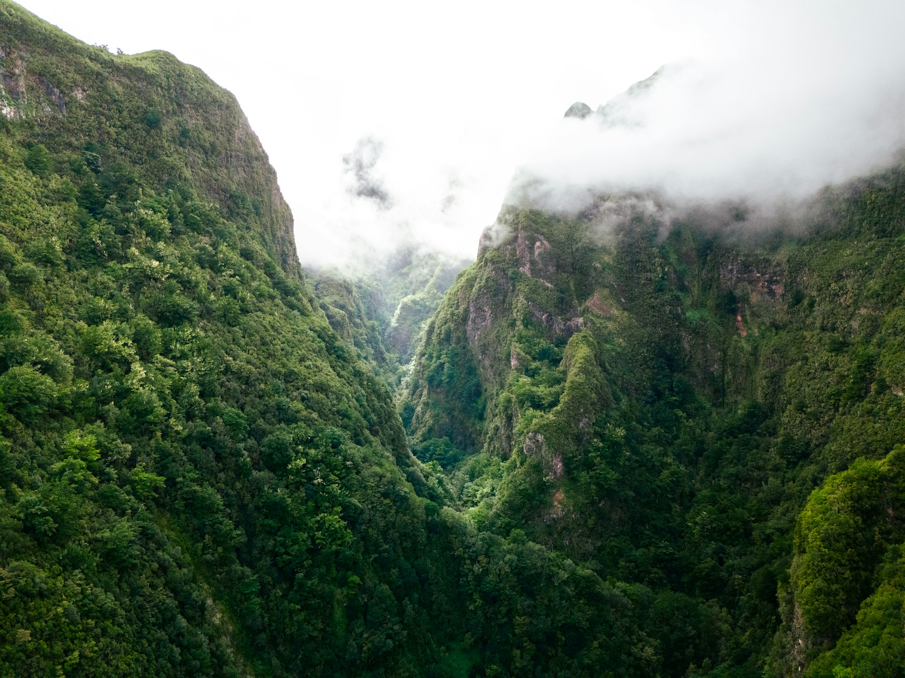 Montanhas verdes da Madeira envolvidas por nuvens